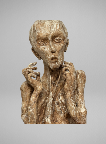 Kunstwerk Hugo VandenBorre